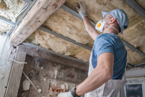 Best Insulation Maintenance and Repair in Hernando, FL